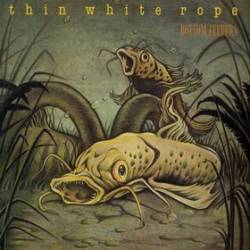 Thin White Rope : Bottom Feeders